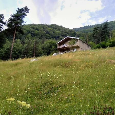 Guesthouse Gama In Khevsureti Roshka Eksteriør billede