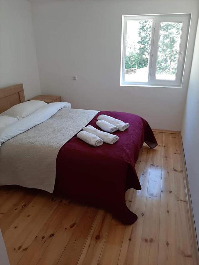 Guesthouse Gama In Khevsureti Roshka Eksteriør billede