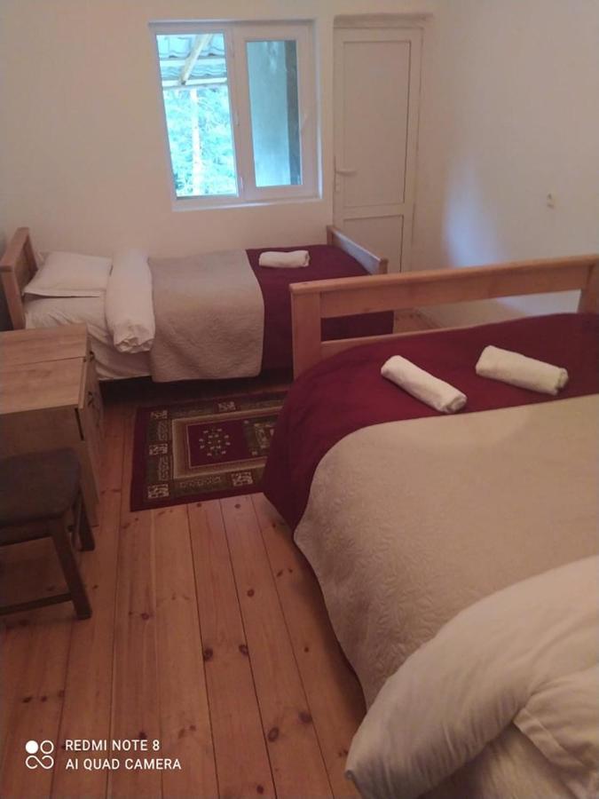 Guesthouse Gama In Khevsureti Roshka Eksteriør billede