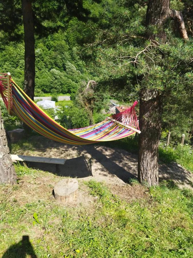 Guesthouse Gama In Khevsureti Roshka Eksteriør billede
