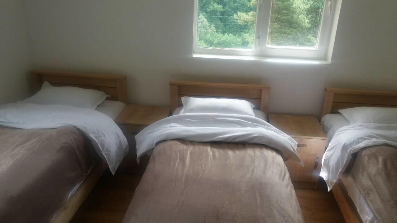 Guesthouse Gama In Khevsureti Roshka Eksteriør billede