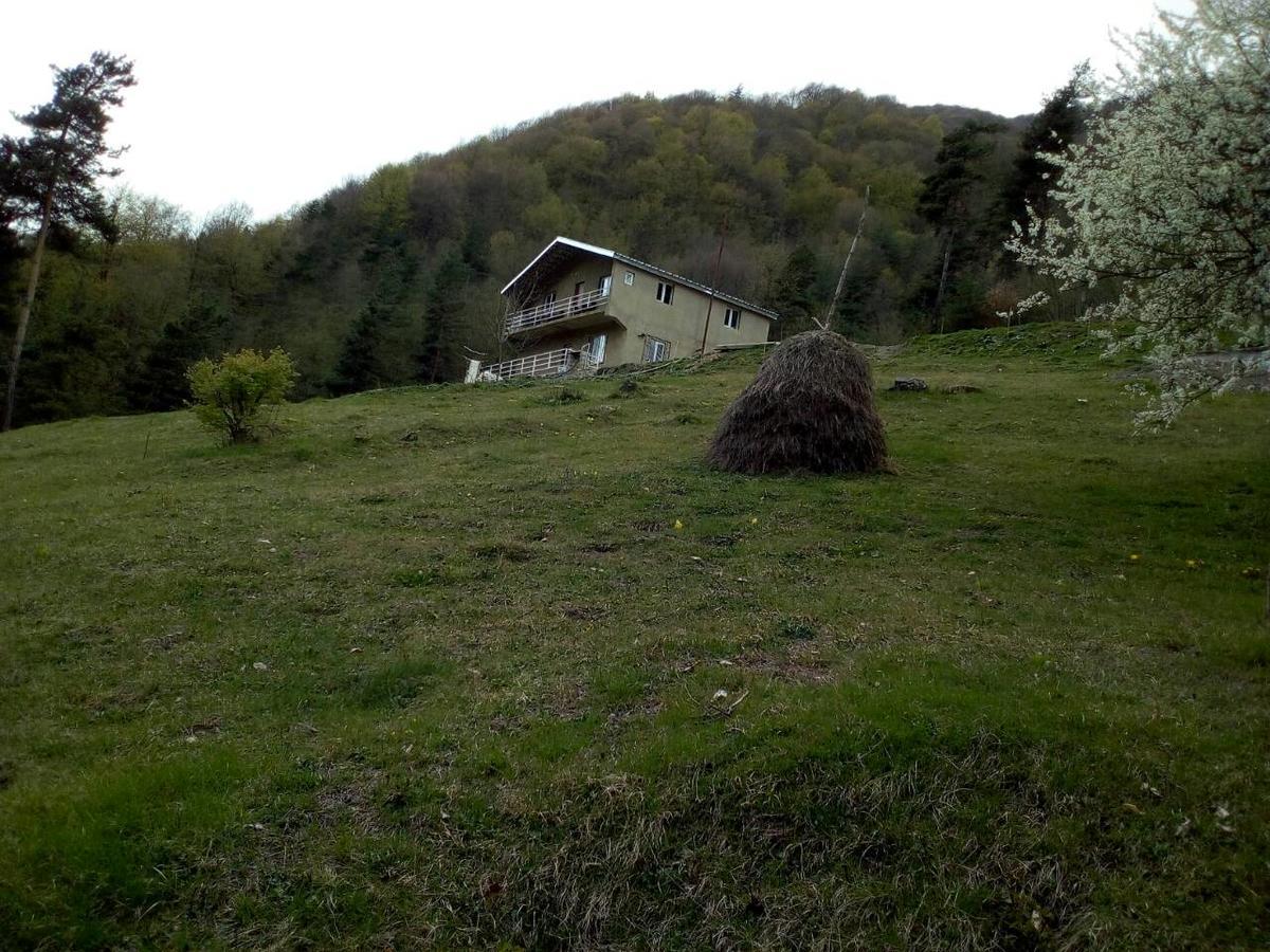 Guesthouse Gama In Khevsureti Roshka Eksteriør billede